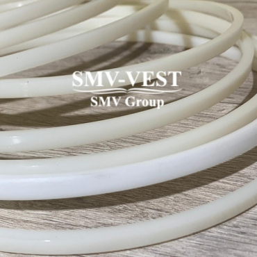 Alfa Laval seal ring 541691-01