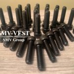Warstila L20 screw 218083