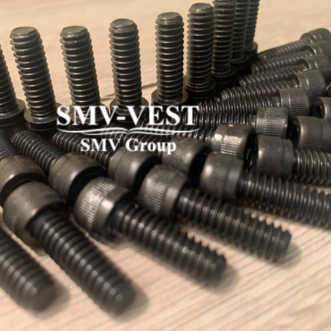 Warstila L20 screw 218106