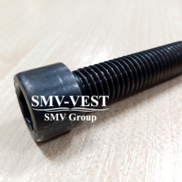 Wartsila L20 screw 156174