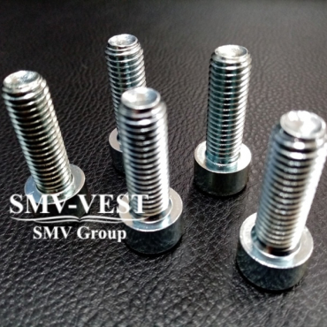 Wartsila L20 screw 181037