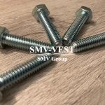 Wartsila L20 screw 218229